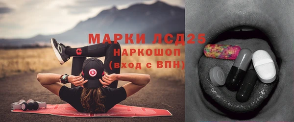 ALPHA PVP Бердск
