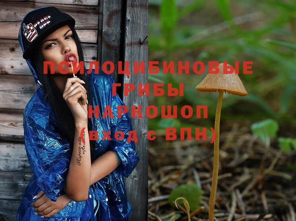 ALPHA PVP Бердск
