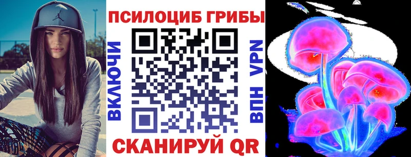 Галлюциногенные грибы мухоморы  площадка официальный сайт  Гвардейск  где продают  